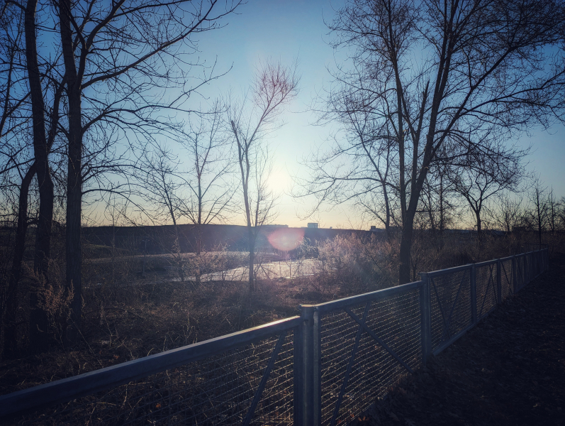 Faire confiance à la Vie