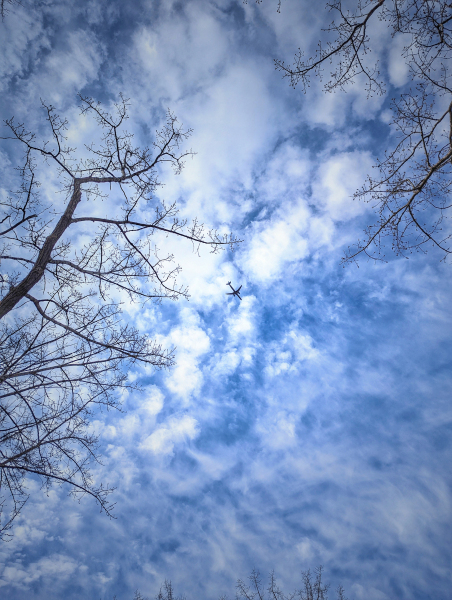 Look up!
