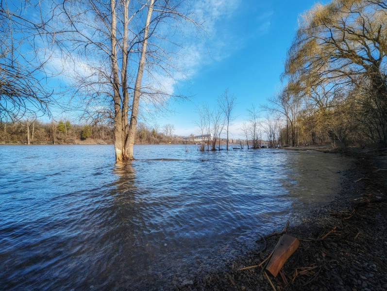 Comme dans une chanson de...