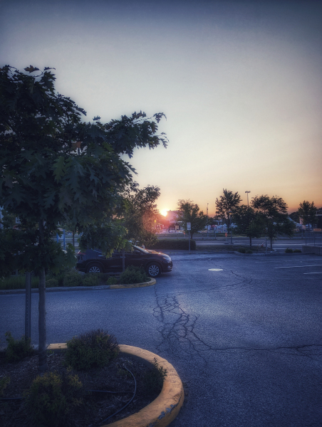 PXL_20230604_092737897-01