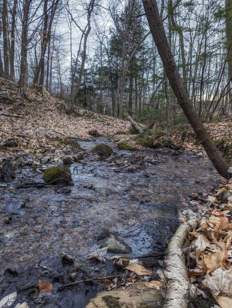 La douce mélodie du ruisseau