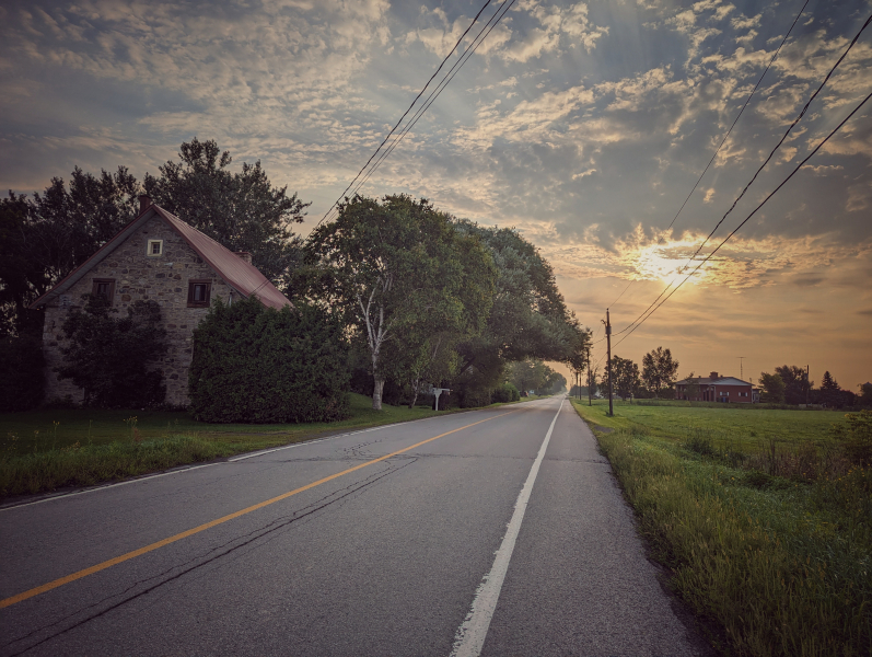 Contemplation #5