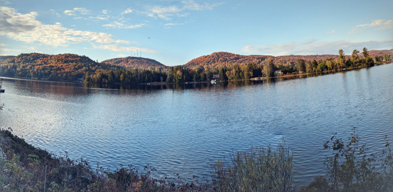Panorama Google