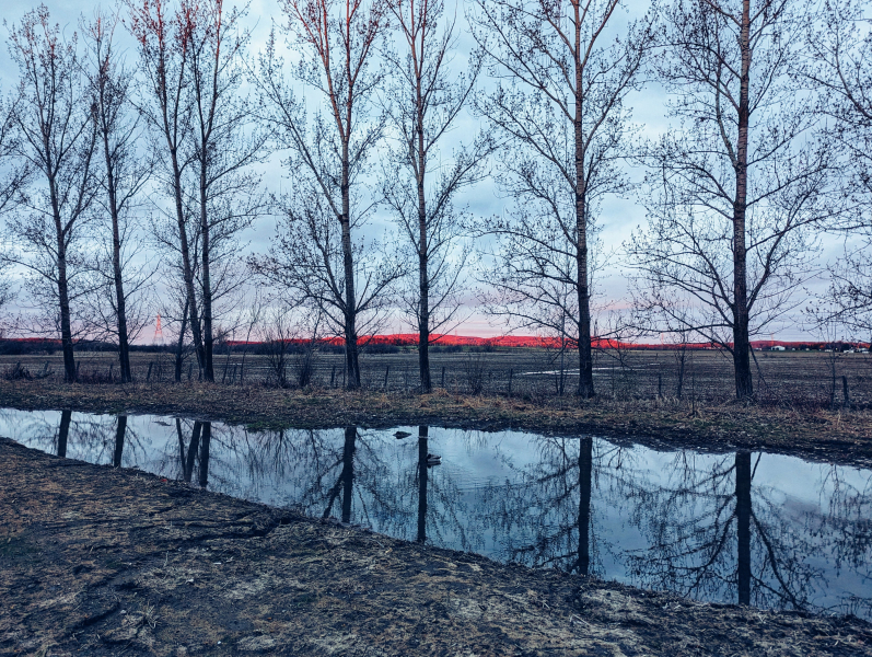 Doux reflet