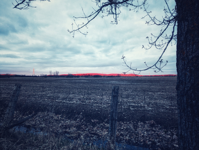 La colline rouge